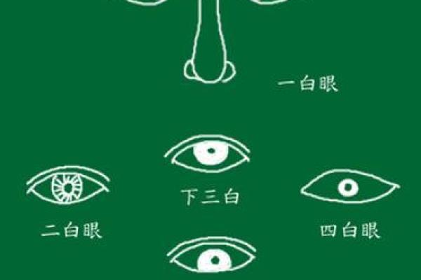 四百眼面相秘籍，揭秘面相中的神秘力量