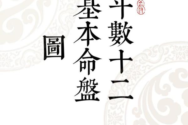 紫微斗数电脑排盘软件：轻松预测未来，掌握命运