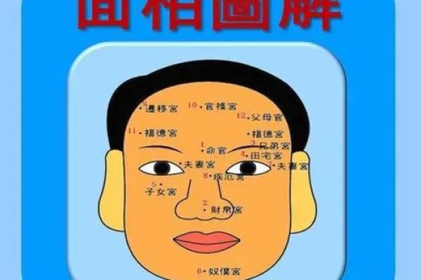 面相揭秘：额头饱满，财运亨通
