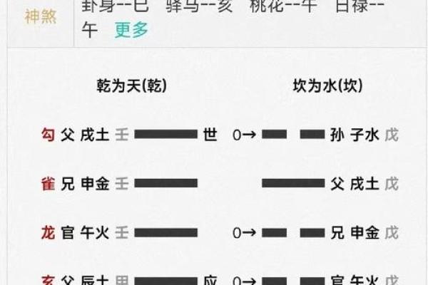揭秘新浪星座：你的运势，我来卜卦