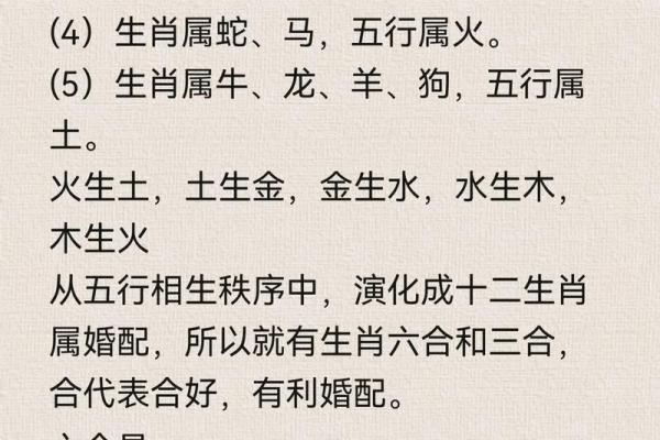 鼠鼠情深：探寻生肖鼠的黄金婚配组合