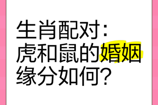 鼠鼠情深：探寻生肖鼠的黄金婚配组合
