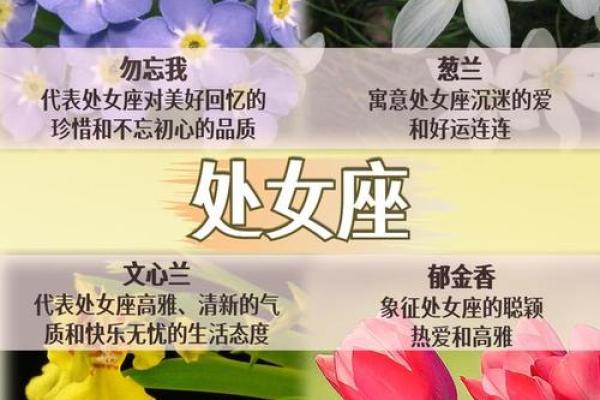 十二星座专属花仙女揭秘：你的星座花语，揭秘你的浪漫命运