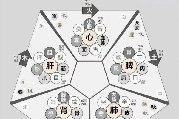 何五行属什么？了解五行背后的玄机