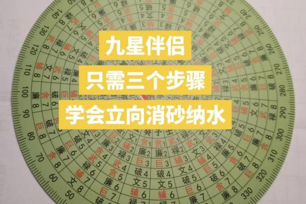 杨公风水秘术：精准消砂纳水，助你家居风水大翻身