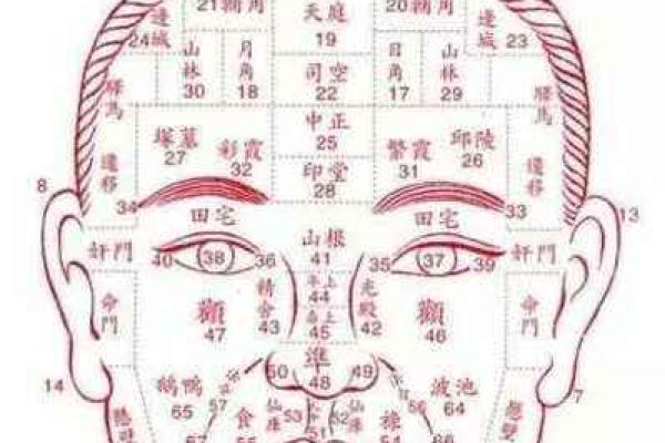 面相揭秘：揭秘12种常见面相的运势与命运