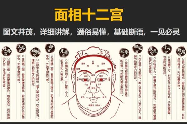 面相揭秘：揭秘12种常见面相的运势与命运