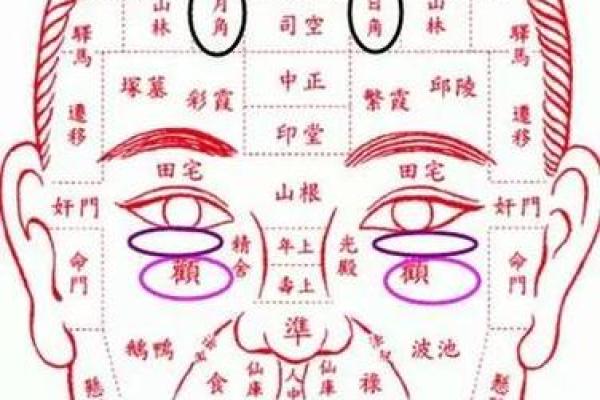 五官透露命运，揭秘面相背后的惊人秘密