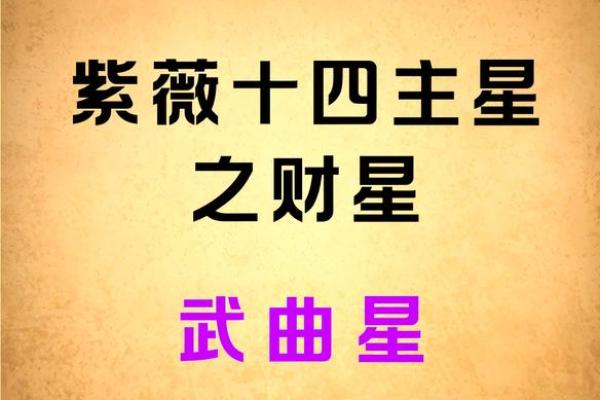 紫薇排盘专家元真利亨教你精准解读命运密码