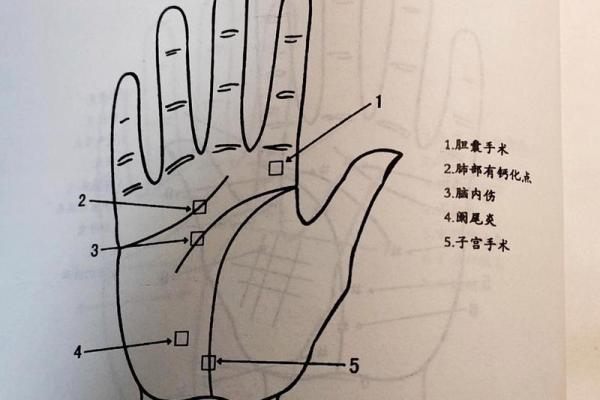 手相揭秘：米字纹事业线，预示着你将如何成就辉煌人生？