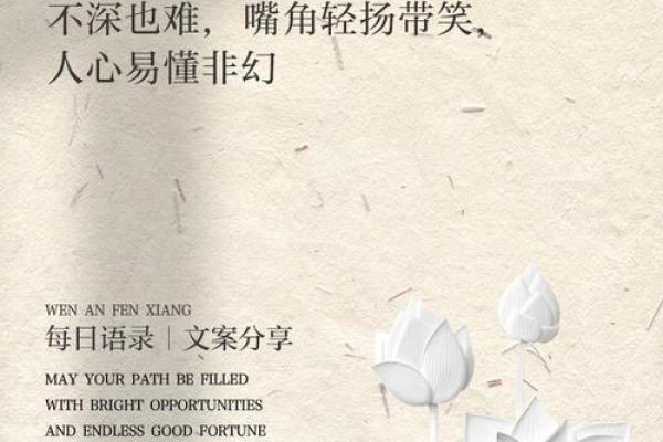 识人如神：揭秘面相的奥秘，一眼看穿人心