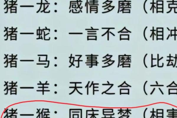 猴鸡相配，揭秘最佳伴侣法则
