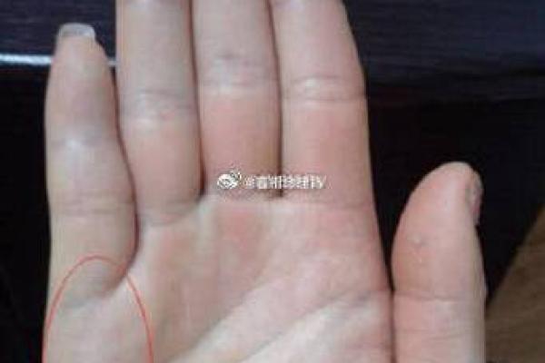 揭秘蝴蝶手相：神秘占卜还是骗局？