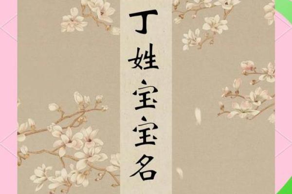 给丁姓宝宝取个名字，如何挑选最合适？