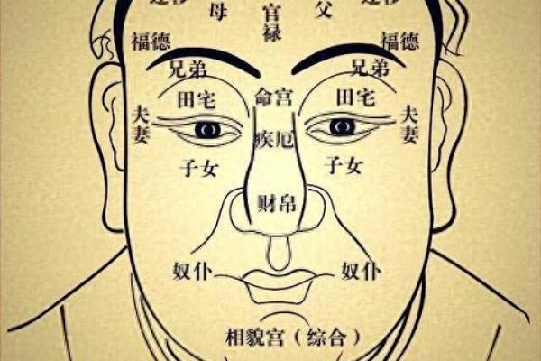 脸型决定命运，揭秘你的运势面相之谜