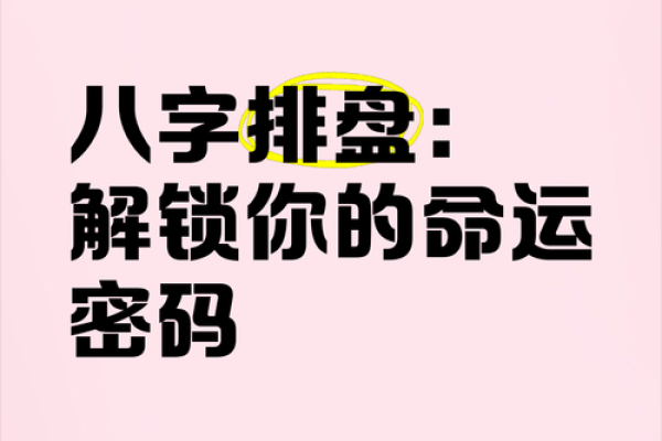 八字命理入门：破解你的命运密码
