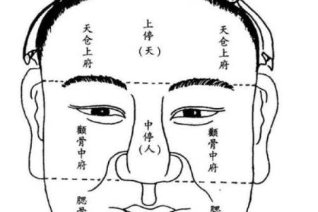 面相揭秘：土水相生，揭秘你的运势与性格秘密