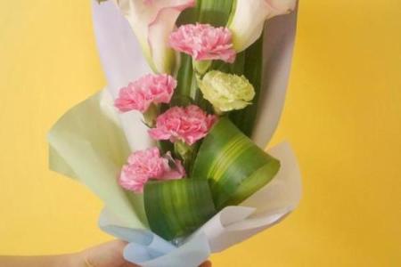 教师节送礼必备：十大传统花束，致敬辛勤园丁的节日祝福