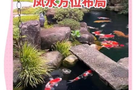 善心筑家，风水秘籍：心地善良者的家居旺运指南