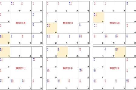 让你一看就懂的紫微斗数排盘指南，从入门到精通