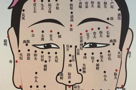 一痣一命运：全面解析全身痣相，助你了解自己的运势