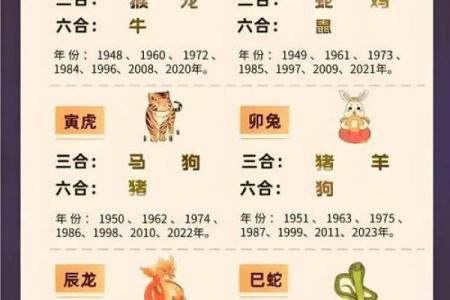 狗蛇合鸣：2024年生肖运势大揭秘