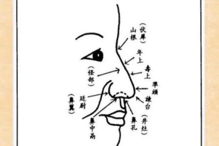 面相解码：鼻子、痣里的命运密码