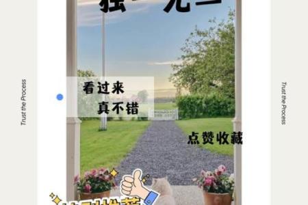 专为姓许宝宝定制的优雅名字推荐