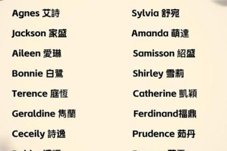 如何根据行业特点为公司起个独特的英文名字