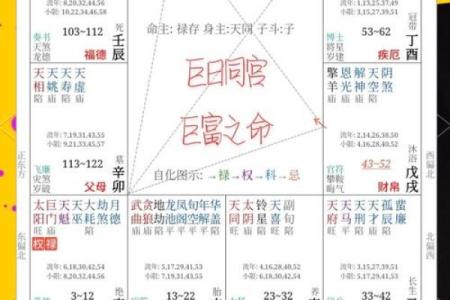 五行属性排盘揭秘：如何精准解读你的命运密码