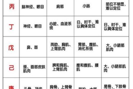 如何从大人物八字中洞察人生轨迹