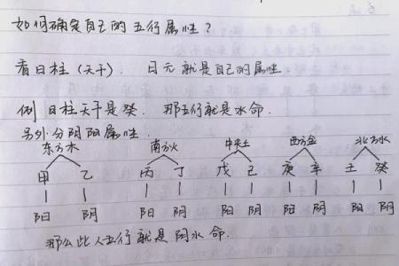从五行八字看命运：你如何掌控自己的命运轨迹