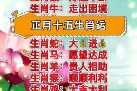 生肖揭秘：藏猜一生的生肖命运大揭秘