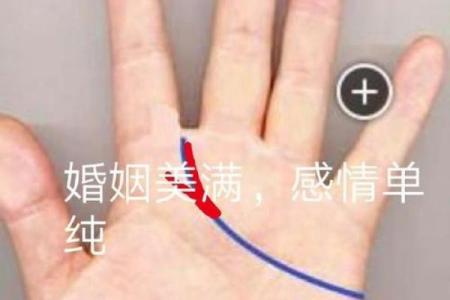 揭秘：手相婚姻线，掌握你的幸福密码