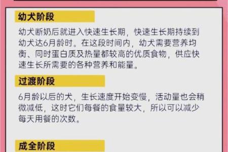 狗狗配对大揭秘：男狗女免，真的不合适吗？