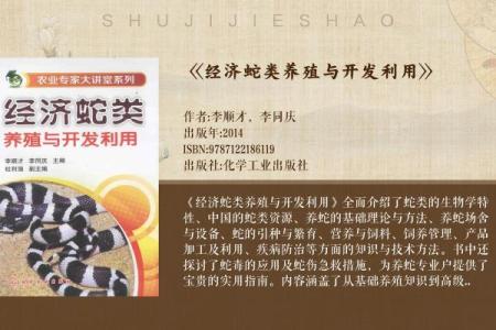 你不知道的蛇业公司命名技巧，让品牌更具吸引力