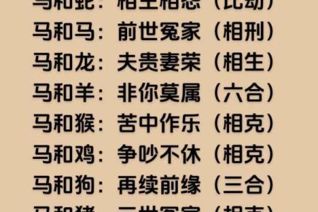 人见人爱生肖盘点