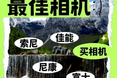 金鼠跃动，财富翻倍——2023年生肖运势大揭秘