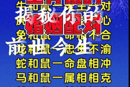 鸡鼠相配，缘分深浅？