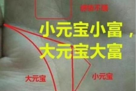 揭秘手相奥秘：一掌之间，命运尽在掌握
