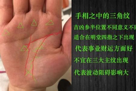手相揭秘：生命线早分叉预示着什么？揭秘命运转折点
