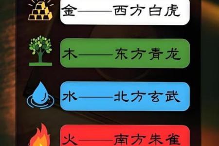 探索三楼五行属什么的深层含义