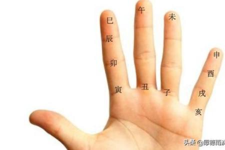 掌上记天干：让你秒懂天干地支的奥秘