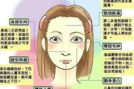 解码面相，掌握运势：易经风水揭示你的命运秘密