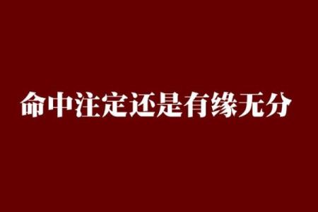 命中注定，非凡人生