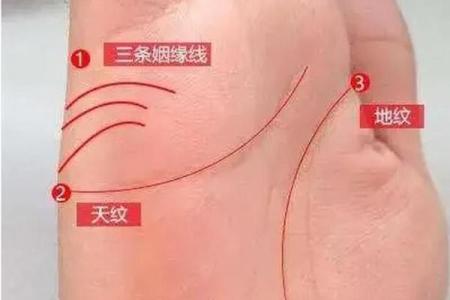 揭秘手相中的秘密：子女线图解，男人生育运势一探究竟
