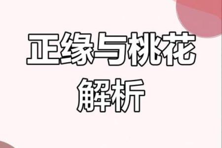 如何利用桃花运改变命运，解密命理秘密！