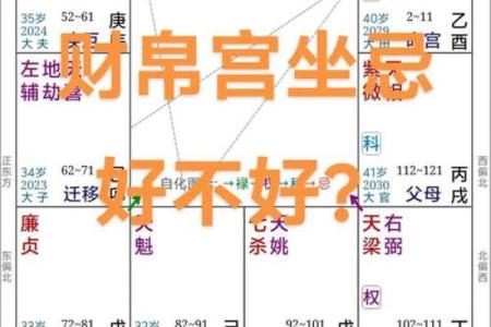 专业排盘十二字深度解析，掌握命运的密码