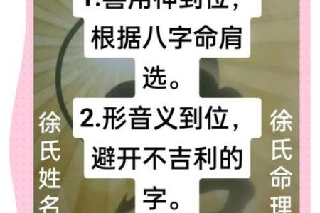 成功公司名字背后的秘诀，帮你立足市场制胜