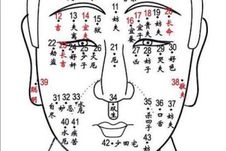 痣相仙库：揭秘命运密码，你的痣相藏着哪些秘密？